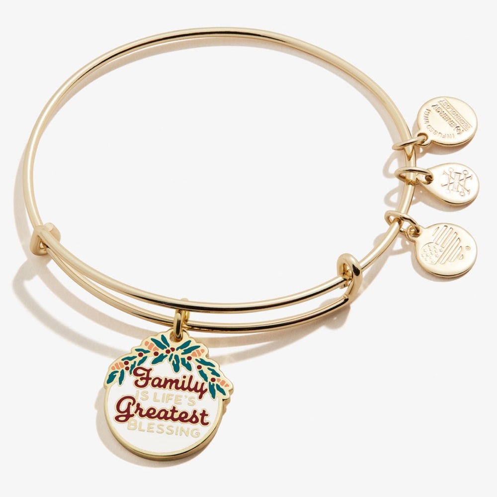 Alex and Ani ‘Family is Life’s Greatest Blessing’ Bracelet Gold NWT